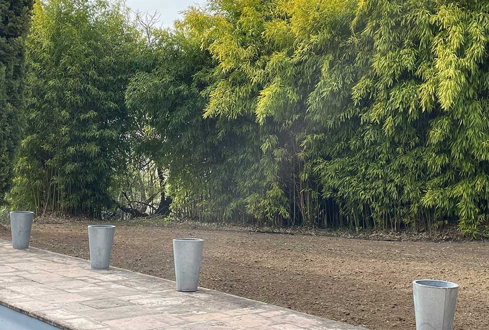 Arrêt de la propagation de bambous et réaménagement de jardin à Mezy-sur-Seine (78)
